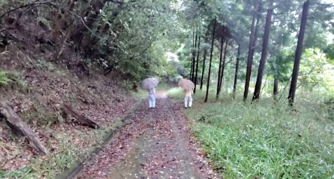 20251016炭焼き事業 (2)