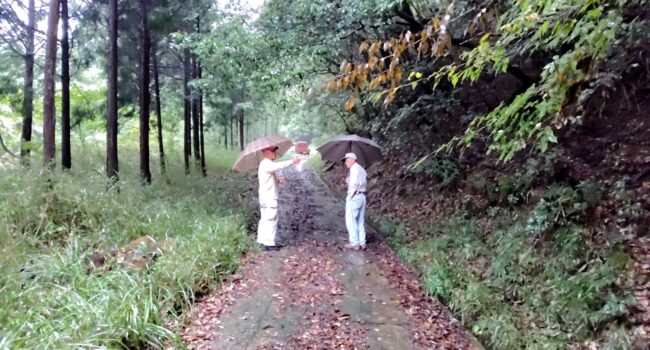 20251016炭焼き事業 (6)